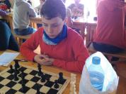 jordi amengual