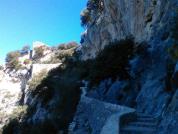 excursió (3)