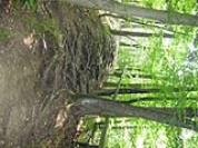 gleichenberg 2013 179